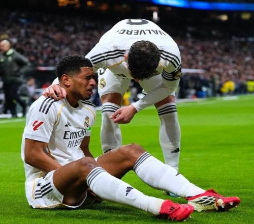 馬略卡,皇家馬德里,本澤馬雙子,永利皇宫app,永利皇宫app官网入口,永利皇宫app官网首页,永利皇宫app官网