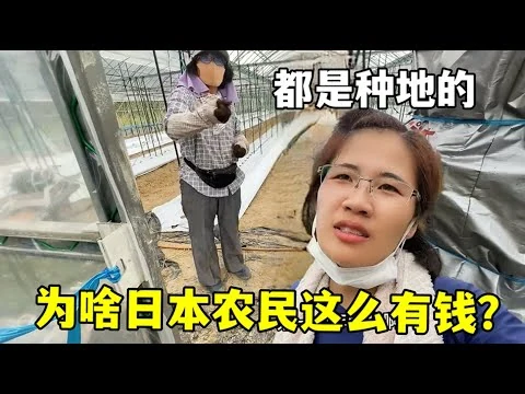 王者荣耀职业联赛夏季赛狼队零封对手挺进胜者组决赛